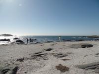 Singlereise Namibia – Diaz Point