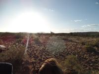 Singlereise Namibia – Rundfahrt über der Dabis-Farm