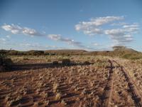 Singlereise Namibia – Rundfahrt über der Dabis-Farm
