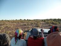 Singlereise Namibia – Rundfahrt über der Dabis-Farm