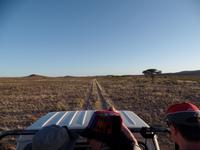 Singlereise Namibia – Rundfahrt über der Dabis-Farm