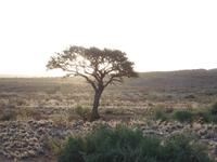 Singlereise Namibia – Rundfahrt über der Dabis-Farm