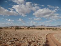 Singlereise Namibia – Sundowner in der Namib