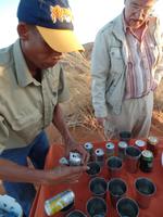 Singlereise Namibia – Sundowner mit Gin Tonic in der Namib