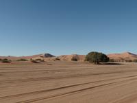 Singlereise Namibia – Sanddünen in der Namib Wüste