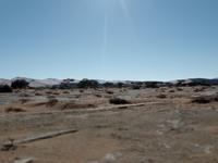 Singlereise Namibia – Namib Wüste