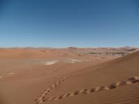 Singlereise Namibia – Sanddüne Big Daddy