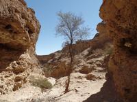 Singlereise Namibia – Sesriem Canyon
