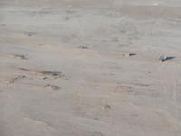 Singlereise Namibia – Rundflug