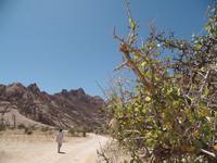 Singlereise Namibia – Erongo Berge