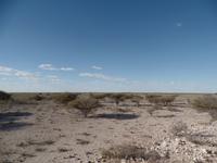 Singlereise Namibia – Etosha Nationalpark