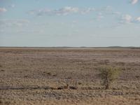Singlereise Namibia – Etosha Nationalpark