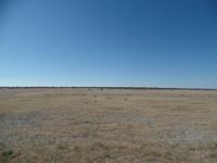 Singlereise Namibia – Etosha Nationalpark