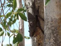 Singlereise Namibia – Etosha Nationalpark