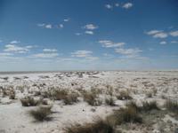 Singlereise Namibia – Etosha Nationalpark