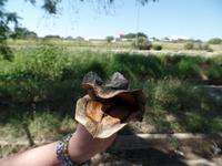 Singlereise Namibia – Otjiwarongo