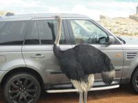 Willkommen in Südafrika