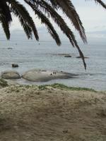 Boulders Beach