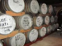 Kellerführung Blaauwklippen