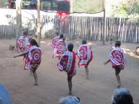 Swaziland Mantenga Village