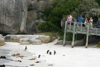 117IMG_1 (36)