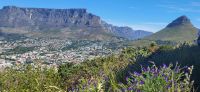 12 Ausblick vom Signal Hill