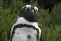 121IMG_1 (40)