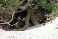 122IMG_1 (42)