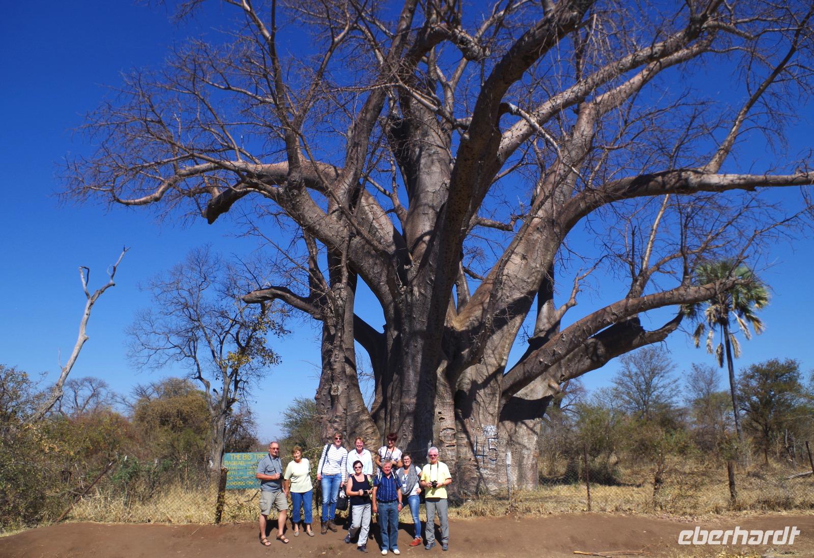 Gruppenbild am Baobab