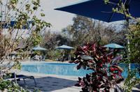 Vic Falls - A Zambesi River Lodge