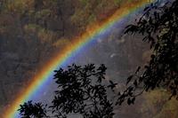 Regenbogen in Vic Falls