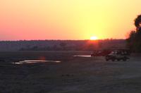 Chobe NP - Safari am Morgen