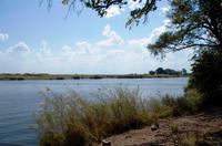 Chobe NP - Flusslandschaft