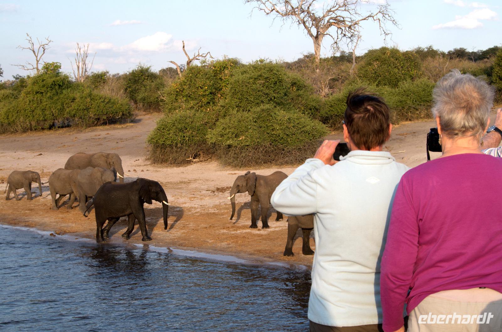 Chobe NP - Bootssafari