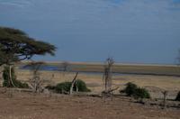 Unterwegs in Botswana - am Chobe entlang