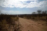 Unterwegs in Savute - Sandpiste