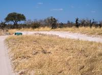 Unterwegs - Savute Konzessionsgebiet