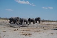 Unterwegs - Savute Konzessionsgebiet