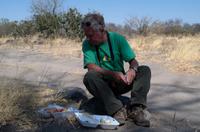 Picknick in Savute