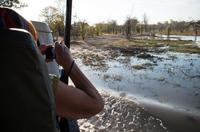 Unterwegs in der Khwai Region