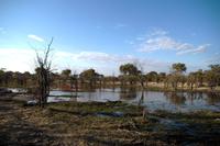 Unterwegs in der Khwai Region