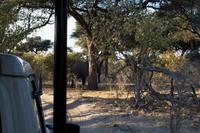 Auf dem Weg zur Lodge