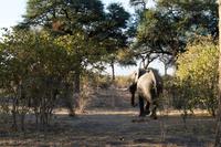 Auf dem Weg zur Lodge