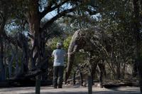 Mogothlo Lodge am Khwai River