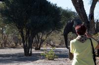 Mogothlo Lodge am Khwai River