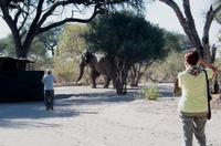 Mogothlo Lodge am Khwai River