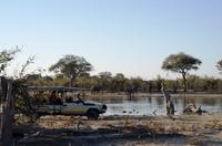 Khwai Region - Pirschfahrt