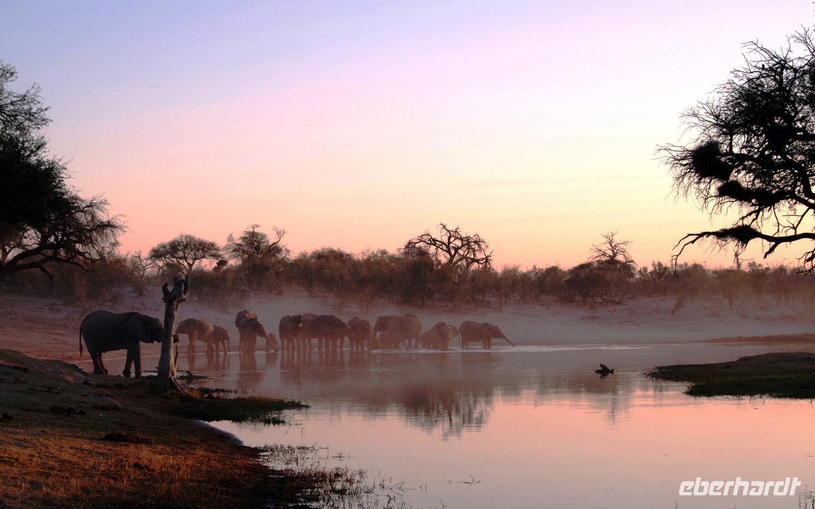Sonnenuntergang am Khwai Fluss