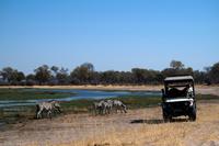 Khwai Region und Moremi Game Reserve - Pirschfahrt