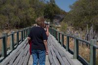 Von der Khwai Region ins Moreme Game Reserve - Über diese Brücke mußt Du geh`n...
